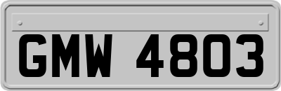 GMW4803