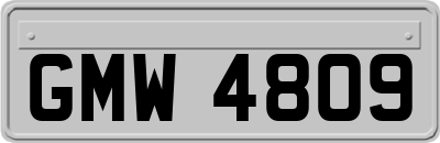 GMW4809