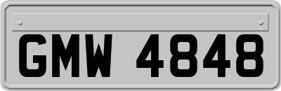 GMW4848