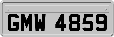 GMW4859