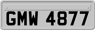 GMW4877