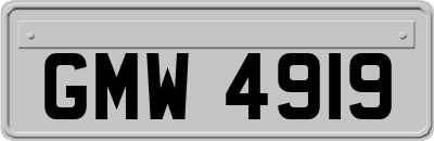 GMW4919