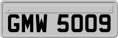 GMW5009