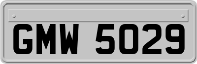 GMW5029