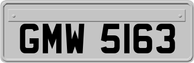 GMW5163