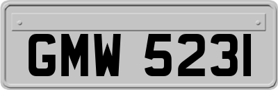GMW5231