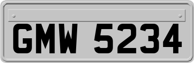 GMW5234