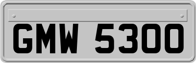 GMW5300