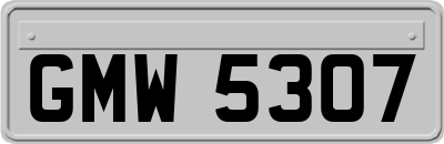 GMW5307