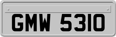 GMW5310