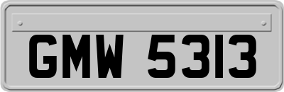 GMW5313