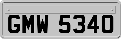 GMW5340