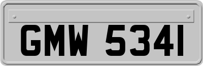 GMW5341