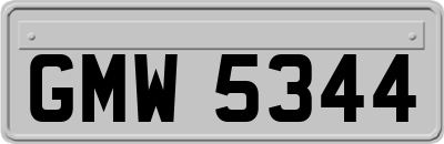 GMW5344