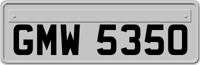 GMW5350