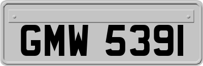 GMW5391