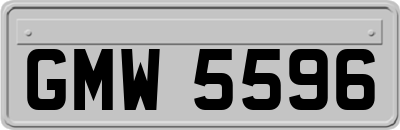 GMW5596