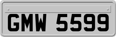 GMW5599