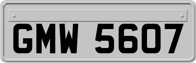 GMW5607