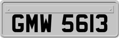 GMW5613