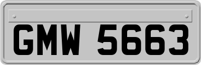GMW5663