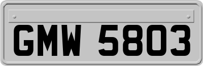 GMW5803