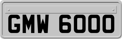 GMW6000
