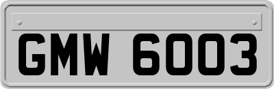 GMW6003
