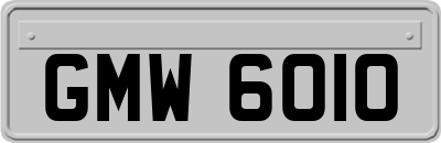 GMW6010