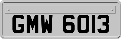 GMW6013