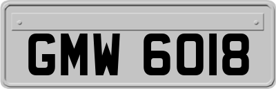 GMW6018