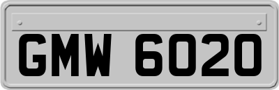GMW6020