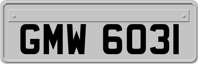 GMW6031