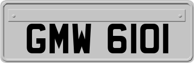 GMW6101