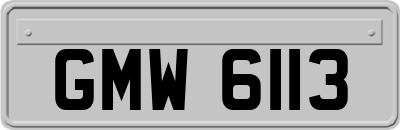 GMW6113