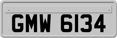 GMW6134