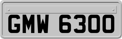 GMW6300