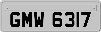 GMW6317