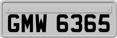 GMW6365