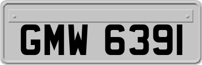 GMW6391
