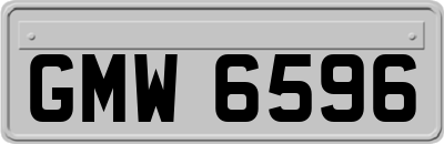 GMW6596