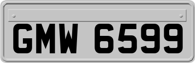 GMW6599