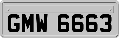 GMW6663