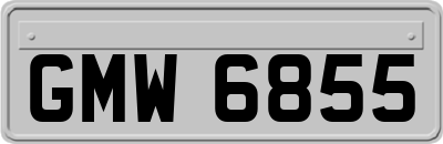 GMW6855