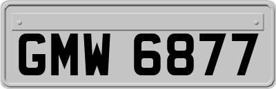 GMW6877