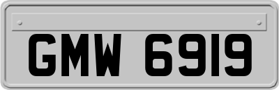 GMW6919