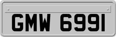 GMW6991