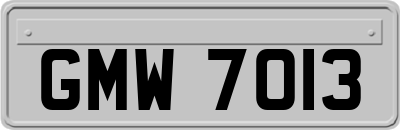 GMW7013