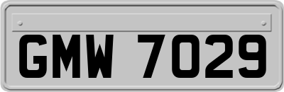 GMW7029