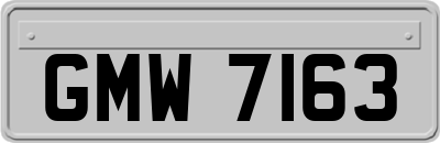 GMW7163